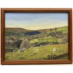 Peter Webber (Yorkshire Contemporary): Sheep Grazing on the 'Yorkshire Wolds', pastel signed and dated '87, titled verso 36cm x 48cm