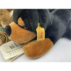 Seven modern Steiff teddy bears comprising two limited edition '1908 Paul the Growler' bears Nos.1124/3000 and 1310/3000; 028649 Classic Teddybear 23; 005992 Classic Teddybear 28 (black); 071249 Mungo Meerkat 30; 079139 Reclining dog for American Kennel Club; and 029561 Petsy gespitzt (1928) 16cm; together with a Mrs. McCatty's limited edition 2156 Sophie bear No.1557/1750; all unboxed but most with labels (8)