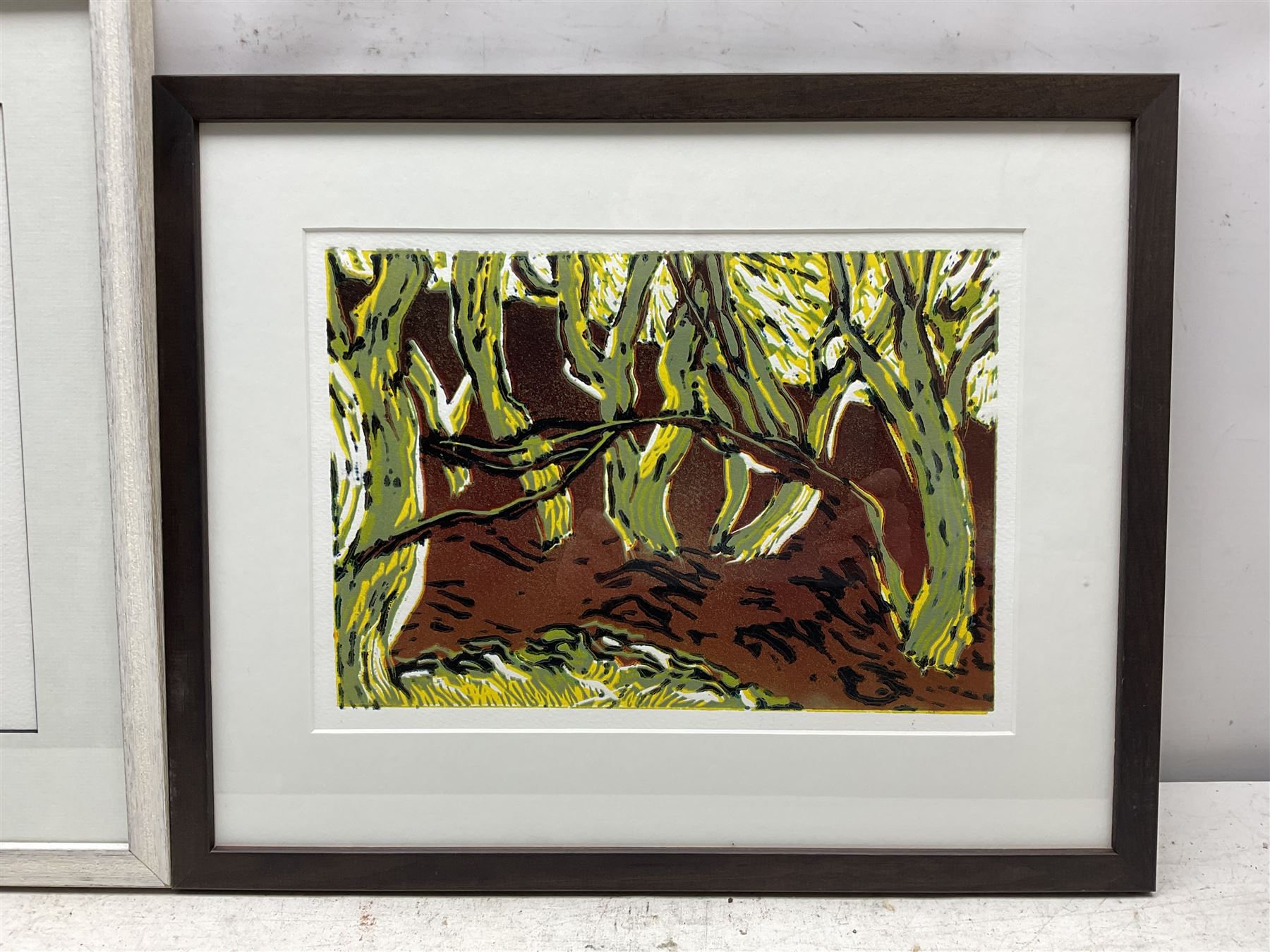 Shirley Fletcher (Northern British Conteporary): 'Jug and Lemon' and A Forest, two collographs, the former signed titled and numbered 4/20 in pencil 28cm x 35cm and 23cm x 32cm (2)