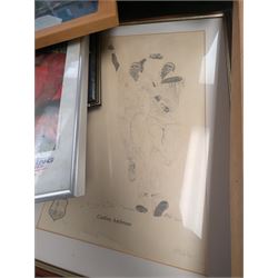 Collection of signed International cricket memorabilia, mostly relating to West Indies, including Curtly Ambrose and Brian Lara prints, Shane Warne and Glen McGrath last test souvenirs, signed Zimbabwe 2003 tour cricket bat, etc