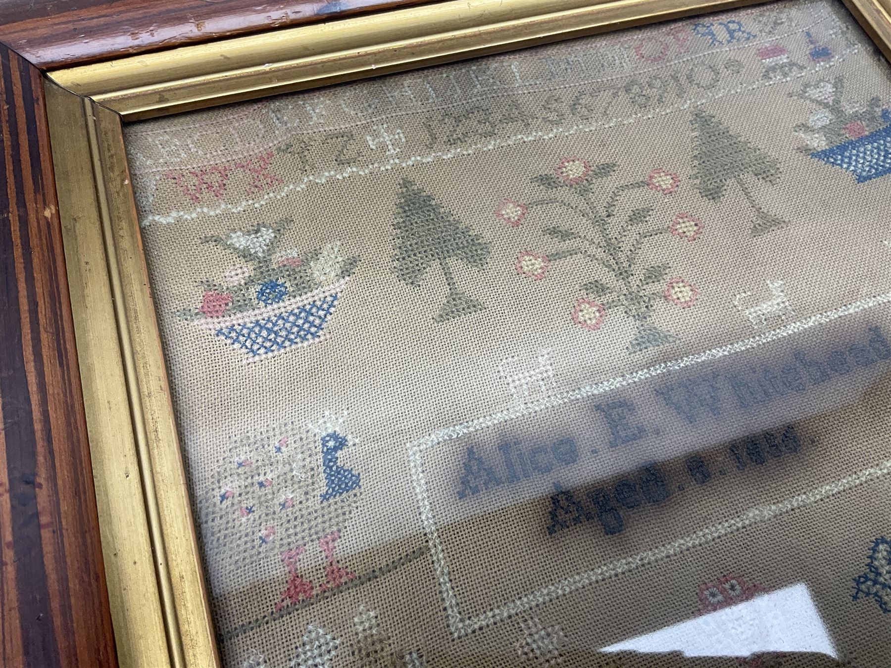 Victorian needlework sampler, depicting cat, peacock, tree and plant motifs, with a band of alphabet and numbers above, worked by Alice E Whitehead, aged eight years, dated 1886, framed, H40cm