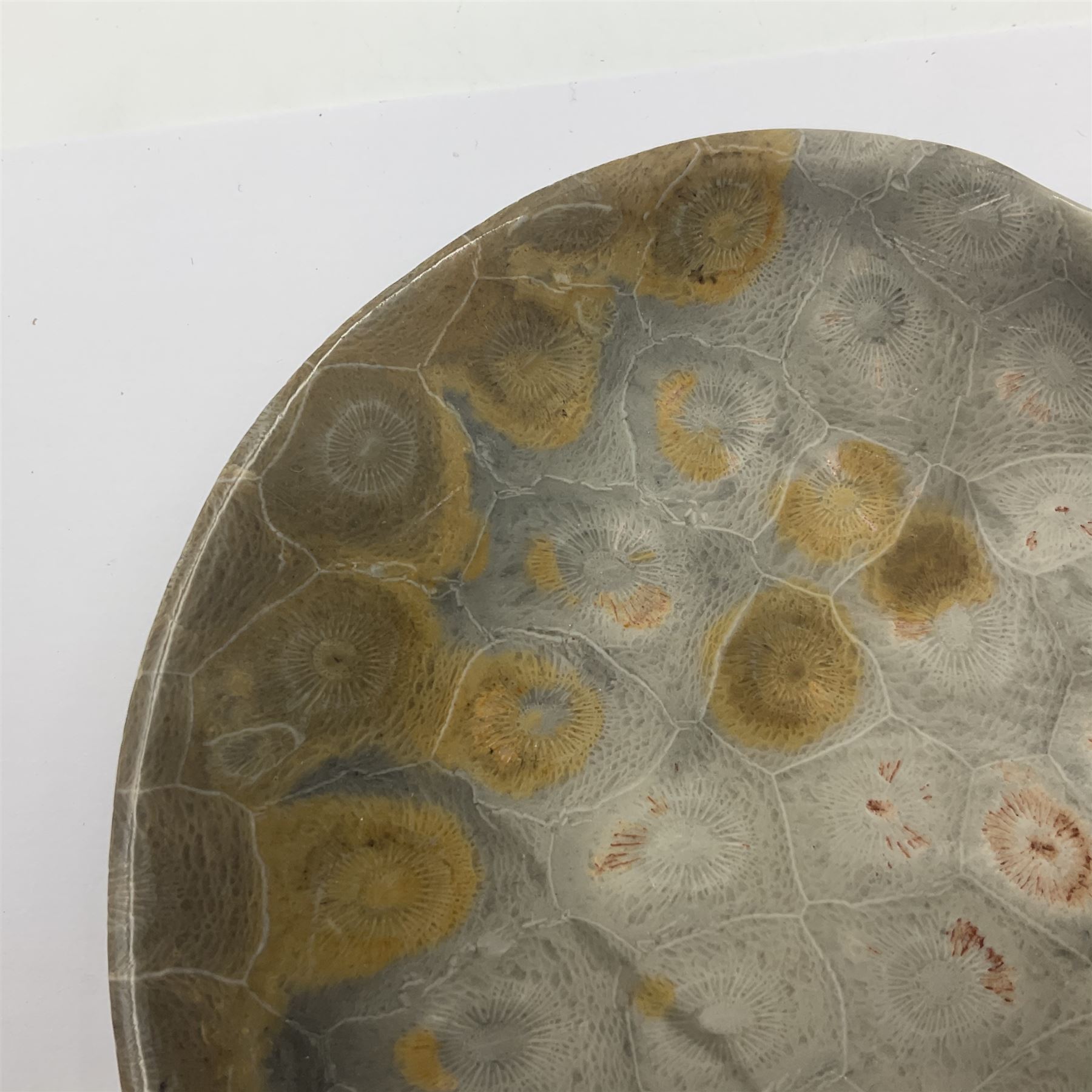 Two graduating fossilised coral dish in the form of hearts, largest D16cm