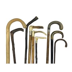 Collection of walking sticks including silver collared example and horn handles, largest L92cm 