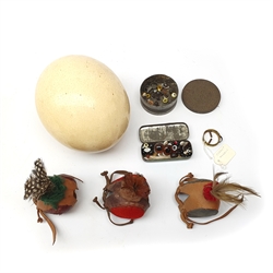 Taxidermy: Curlew (numenius aequath), full mount, approximately H39.5cm, together with a Swift, full mount, two wasps nests in open fronted display case W30cm H38cm; an ostrich egg; three bird of prey masks; framed case of butterflies including Morpho, (a/f), and ferret muzzle
