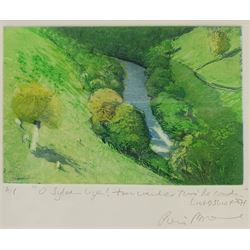 Piers Browne (British 1949-): '