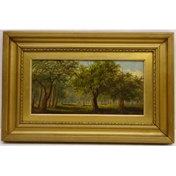 'Scene in Rodington Park', 19th century oil on board indistinctly titled and signed H H Briscoe ? 19cm x 39cm
