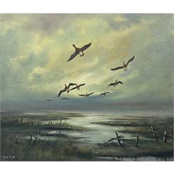 After Sir Peter Markham Scott (British 1