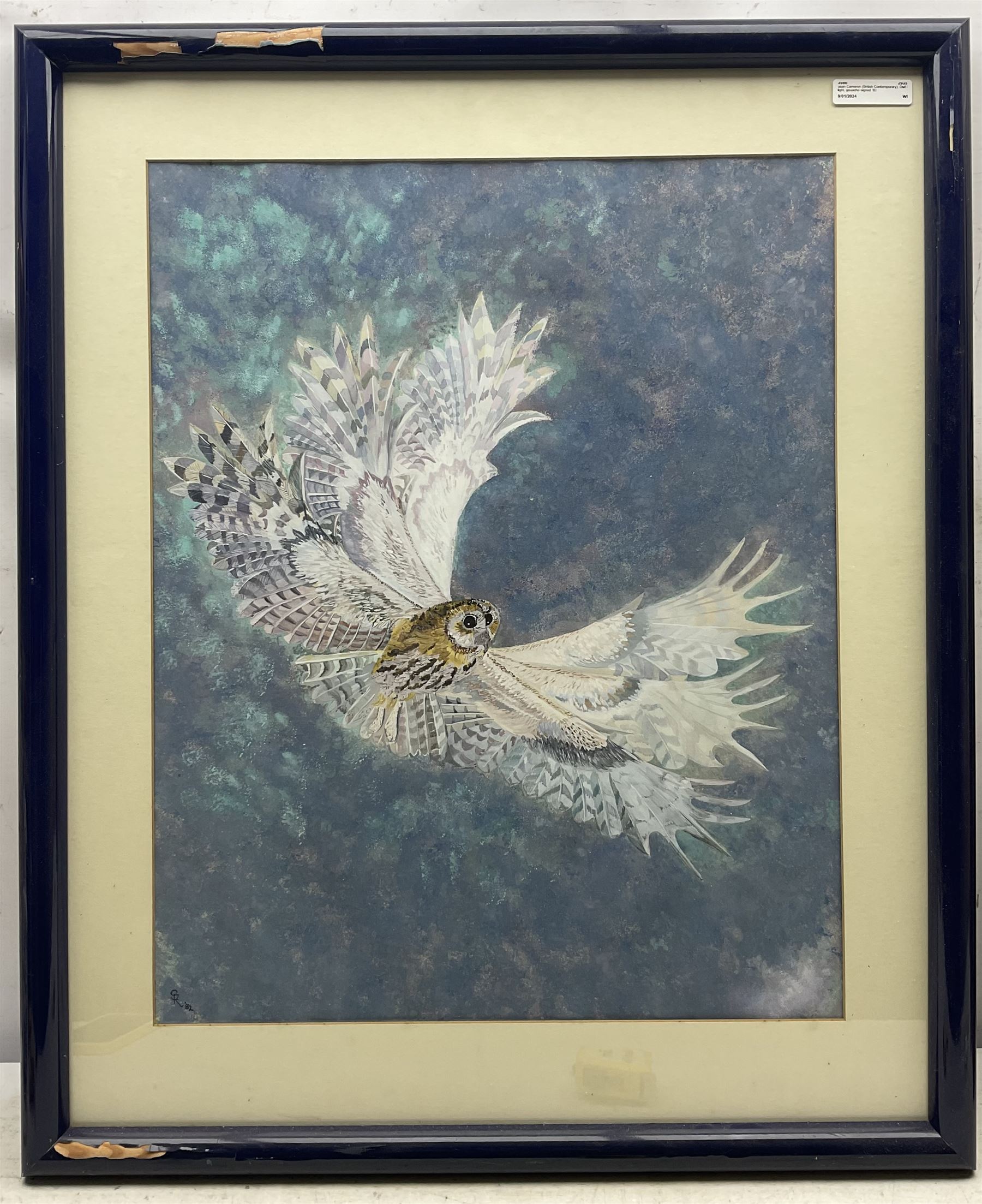 Susan Cameron (British Contemporary): Owl in Flight, gouache signed ‘82, 59cm x 47cm 