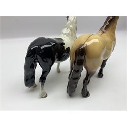 Beswick dun Highland pony no 1644 and piebald Pinto Pony  no 1373, both with printed mark beneath