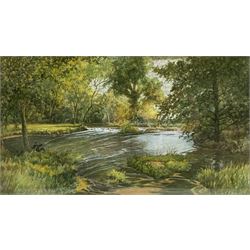 Nathan Stanley Brown (British 1890-1980): 'Lady Edith's Drive' & 'Quarry and Waterfall at East Ayton', two watercolours signed, titled verso approx 26cm x 41cm
