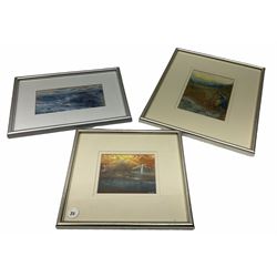 Madeleine Eyland (Belgian/British 1930-2021): Collection of abstract pastels, approx 21, max 19cm x 28cm 
Provenance: artist's studio collection. Marie-Madeleine Eyland (neé Legrain) was born in 1930 at Floriffoux, Belgium; she lived most of her life in Scarborough working as a nurse and an artist.