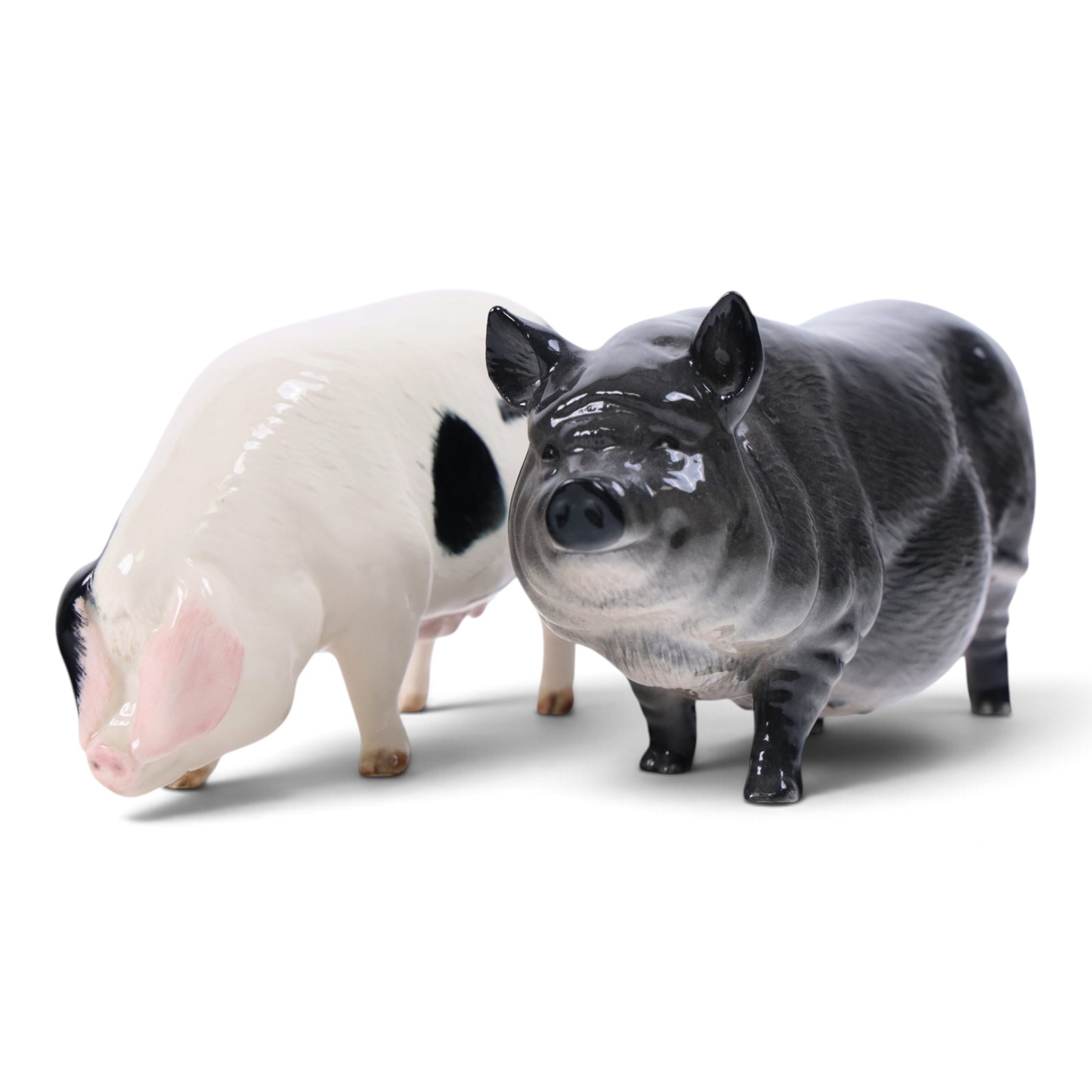 Two Beswick and three Royal Doulton pigs, including Ch Wall Champion pig, Vietnamese Pot Bellied pig, Gloucester Old Spot etc  