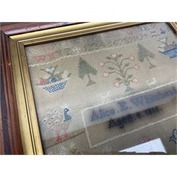 Victorian needlework sampler, depicting cat, peacock, tree and plant motifs, with a band of alphabet and numbers above, worked by Alice E Whitehead, aged eight years, dated 1886, framed, H40cm