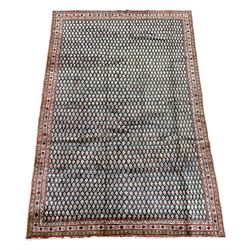 Persian Araak rug, blue ground field decorated with repeating Boteh motifs, three band border 