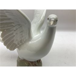 Four Lladro dove figures, comprising Taking Flight no 6288, Dove no 1015, Proud Dove no 6290 and Peaceful Dove no 6289, all with original boxes, largest example H20.5cm 