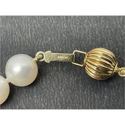 Fresh water pearl bracelet, with 14ct gold clasp, stamps 585