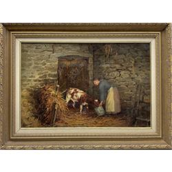 William Greaves (British 1852-1938): Farmer's Wife Feeding a Calf in Stable setting, oil on canvas signed 39cm x 59cm