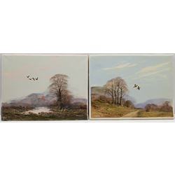 John Caesar Smith (British 1930-): Birds in Flight, pair oils on canvas signed and dated '77, 30cm x 40cm (2) (unframed)