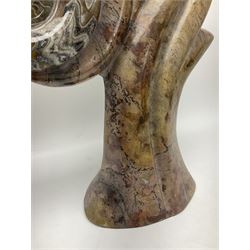 Goniatite sculpture, displaying two Goniatites within a polished and shaped matrix, age; Devonian period, H56cm