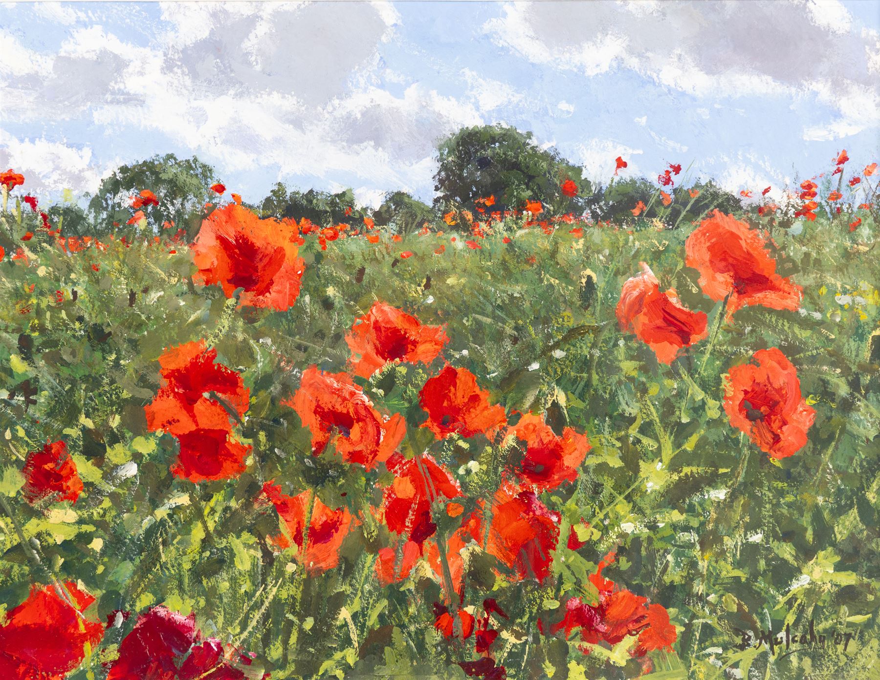 Bruce Mulcahy (West Yorkshire 1955-): Field of Poppies, gouache signed and dated '07, 19.5cm x 25.5cm