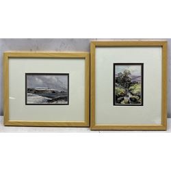 John Freeman (British 1942-): 'Dunstanburgh Castle' 'Farm Islands' 'Runswick' and 'Beck Above Railway - Goathland', set of four watercolours signed and dated '79 through '86, titles verso 9cm x 13cm (4)