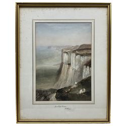 Henry Barlow Carter (British 1804-1868): 'Speeton Cliffs Yorkshire', watercolour unsigned, signed and titled verso and on mount 35cm x 25cm