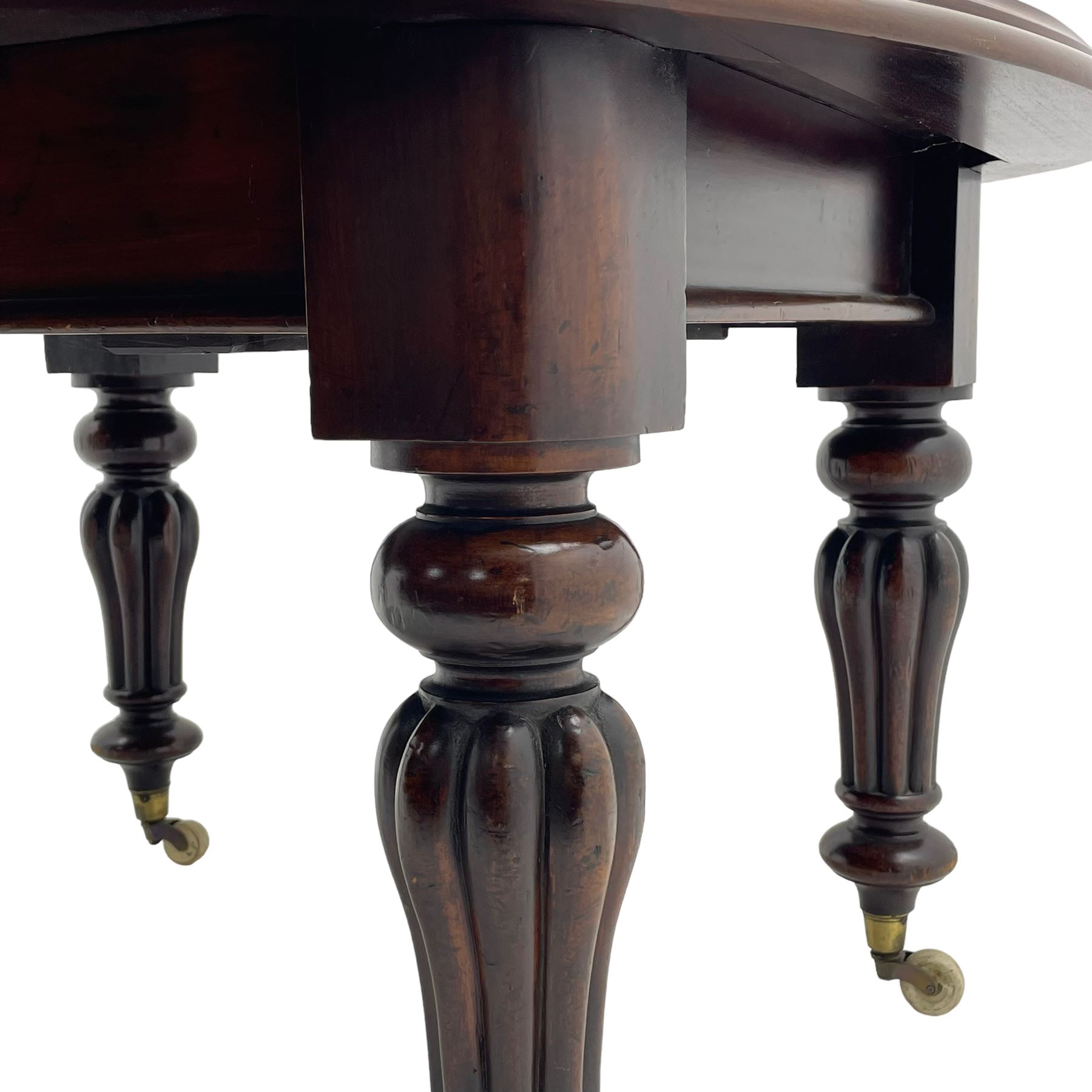 Victorian mahogany extending dining table, circular telescopic extending top with moulded edge, two additional leaves, on turned and lobe carved supports with brass and ceramic castors 