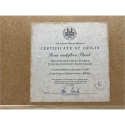 After Franz Andreas Bauer (Austrian 1758-1840): Botanical Studies, set of three limited edition prints for the Natural History Museum together with a set of four other prints from the Reeves Collection with British Museum stamps, certificates verso max 32cm x 21cm (7)