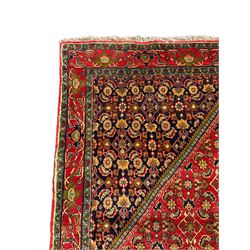 Persian Bijar red and blue ground rug, central panel decorated with tree of life and flower head motifs, decorated all-over with Herati motifs, triple band band border decorated with stylised plant motifs