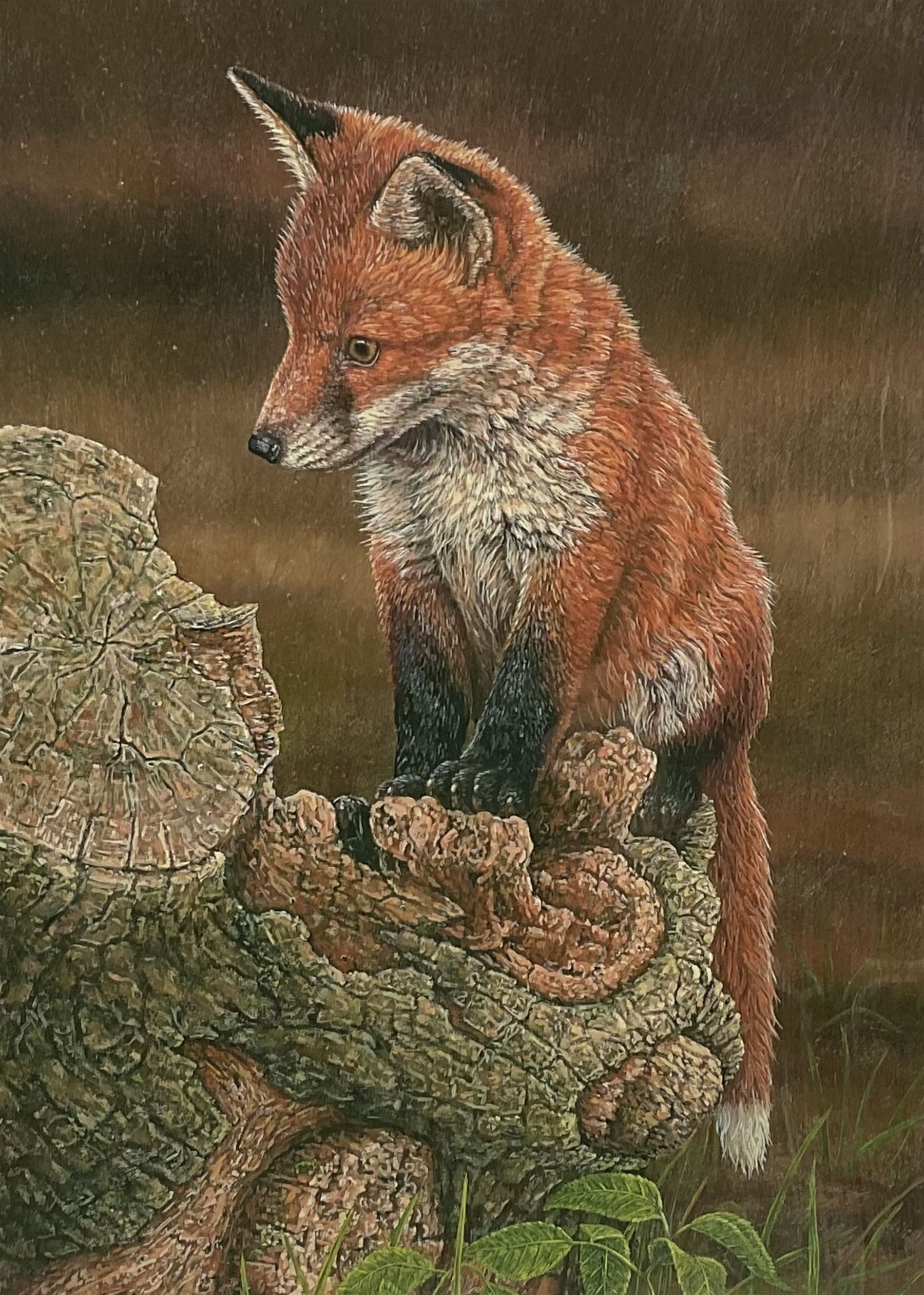 Robert E Fuller (British 1972-): Red Fox on Tree Stump, limited edition colour print signed and numbered 6/850 in pencil 30cm x 22cm