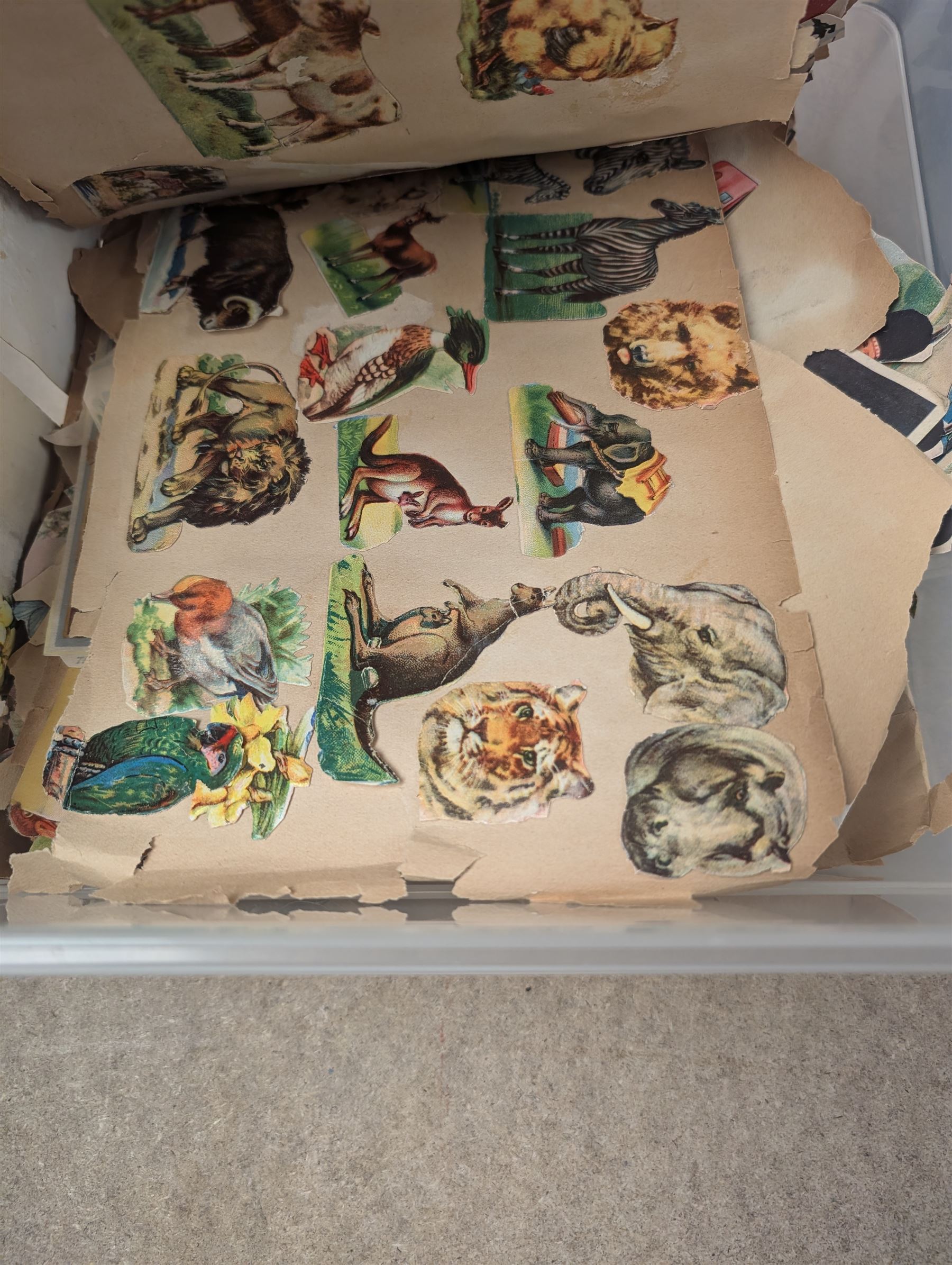 Collection of Victorian and later scrapbook pieces