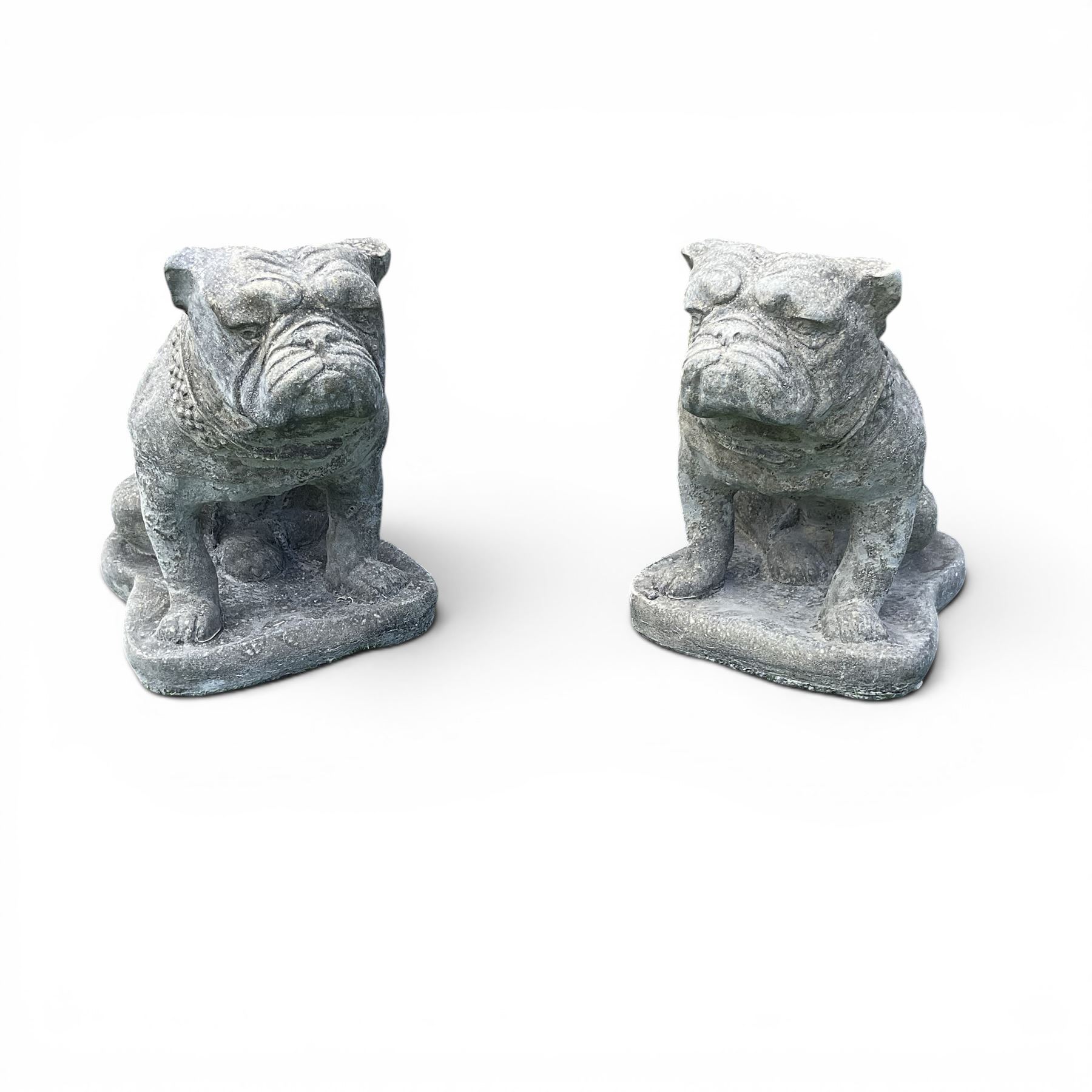Pair of cast stone garden bulldogs with studded collars