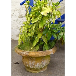  Circular terracotta planter, leaf moulded rim and body, planted with shurb, D65cm  