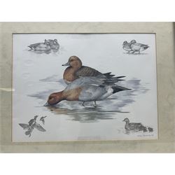 After Alan Ellison, limited edition colour print 'Working Springers' no.178/750 signed on the mount 43 x 59cm; and seven colour prints after Nigel Hemming of game birds and gun dogs; all framed (8)