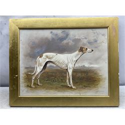Hannah H Kent (British late 19th century): ‘Marquis of Lorne’ Greyhound Portrait, oil on board signed, titled on mount 33cm x 43cm 