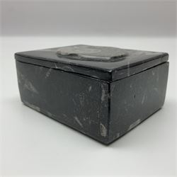Square box with Orthoceras and Goniatite inclusions, the first with a raised Goniatite to the lid, age: Devonian period, location: Morocco