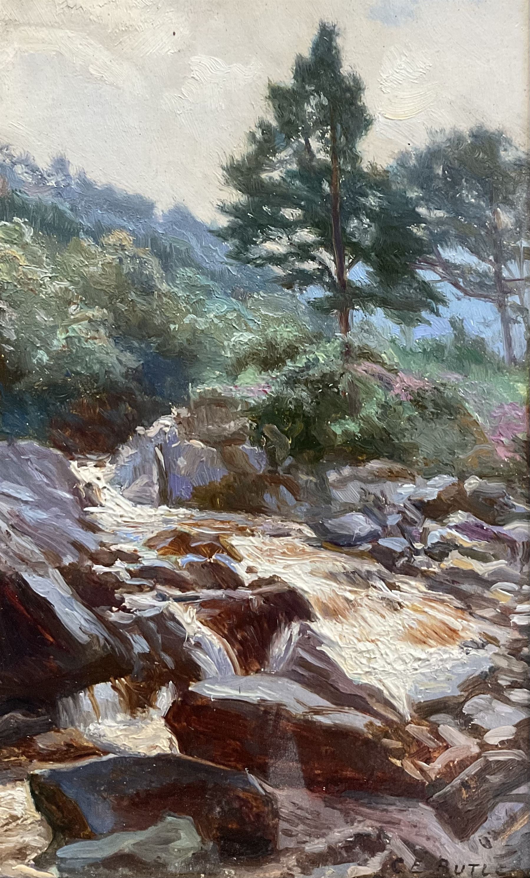 Charles Ernest Butler (British 1864-1918): Stream 'Near Callander' - Scotland, oil on board signed, indistinctly titled verso 19cm x 11cm 