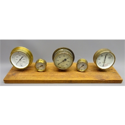  Five various brass cased Steam Pressure Gauges by Stewart Buchanan, Olsens etc on rectangular pine base, W61cm, H17cm  