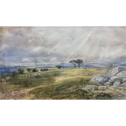 David Cox Jr (British 1808-1885): 'Near Tunbridge Wells', watercolour signed, titled in a later hand on mount 26cm x 44cm (unframed) Notes: Christie's provenance verso.