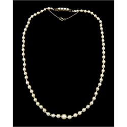 19th / early 20th century single strand graduating pearl necklace, with silver and gold pearl clasp