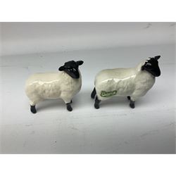 Collection of Beswick figures modelled as sheep, to include Wensleydale sheep no.4123, black faced sheep no.1765, two black faced rams, etc (9)
