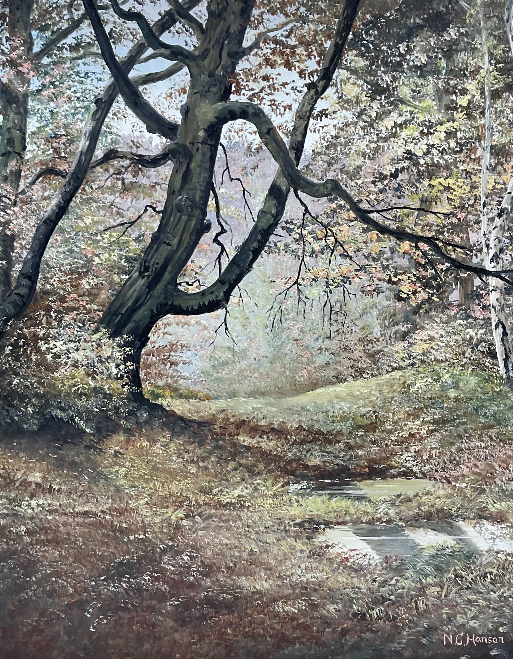 N C Hanson (British 20th century): 'Hob Crag Rosendale' and 'In Mulgrave Woods Sandsend', two oils on canvas signed max 33cm x 47cm (2)
