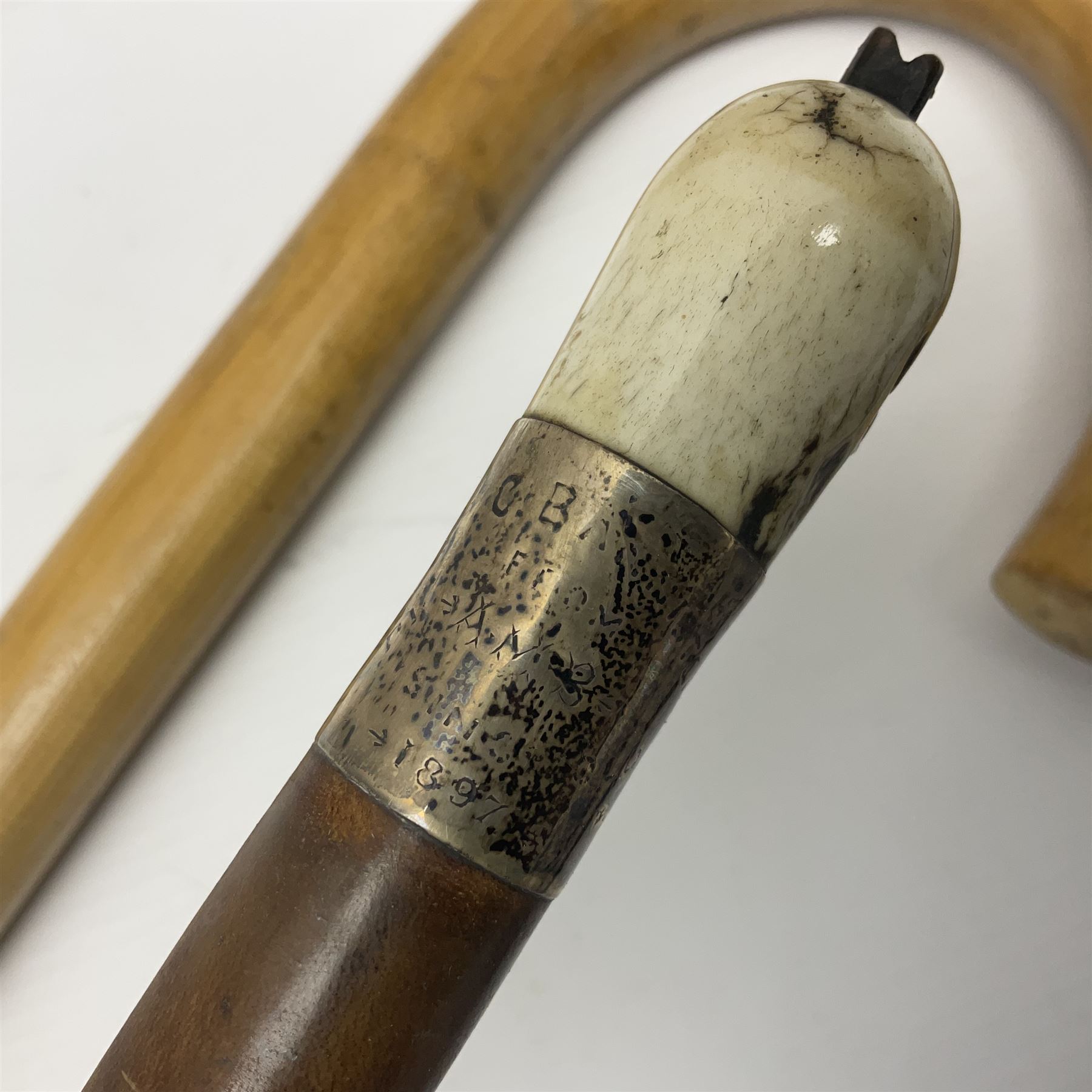 Late Victorian leather hunting whip, with antler handle and presentation engraving to hallmarked silver collars, together with a horse measuring walking stick, whip L205cm