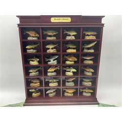 Twenty Four Danbury Mint models of fish, The Angler's Showcase, each with accompanying information card, in wooden wall mounted display shelf, with title plaque, display shelf H61cm L54cm