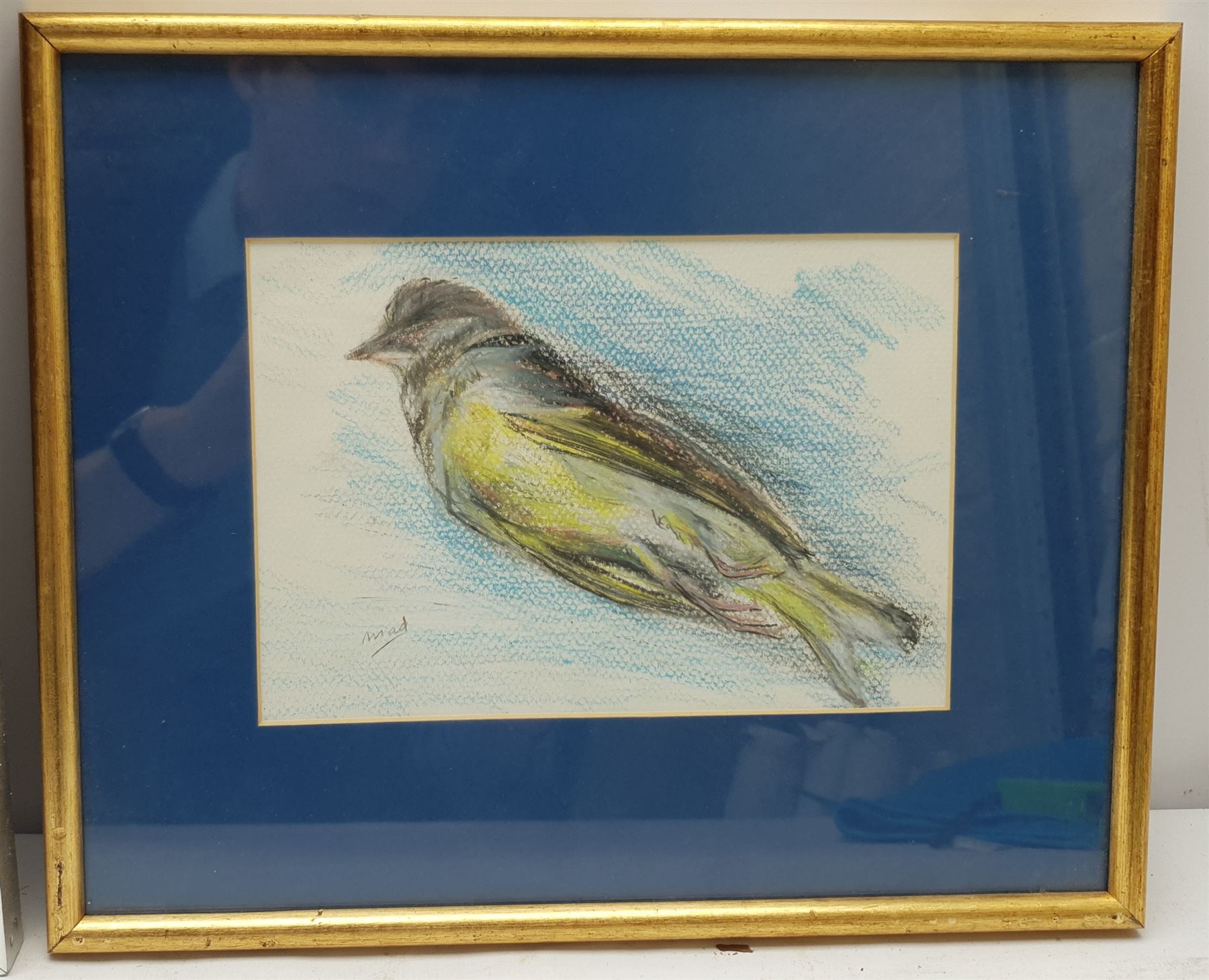 Madeleine Eyland (Belgian/British 1930-2021): 'With You for Life' - Canada Geese, pencil drawing signed, titled verso 46cm x 66cm; Bird Study, pastel signed 14cm x 20cm (2) 
Provenance: artist's studio collection. Marie-Madeleine Eyland (neé Legrain) was born in 1930 at Floriffoux, Belgium; she lived most of her life in Scarborough working as a nurse and an artist.