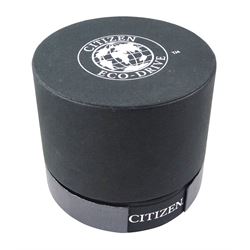 Citizen Eco-Drive Perpetual Calendar gentleman's black stainless steel quartz wristwatch, Ref. WR 100, on original strap with fold-over clasp