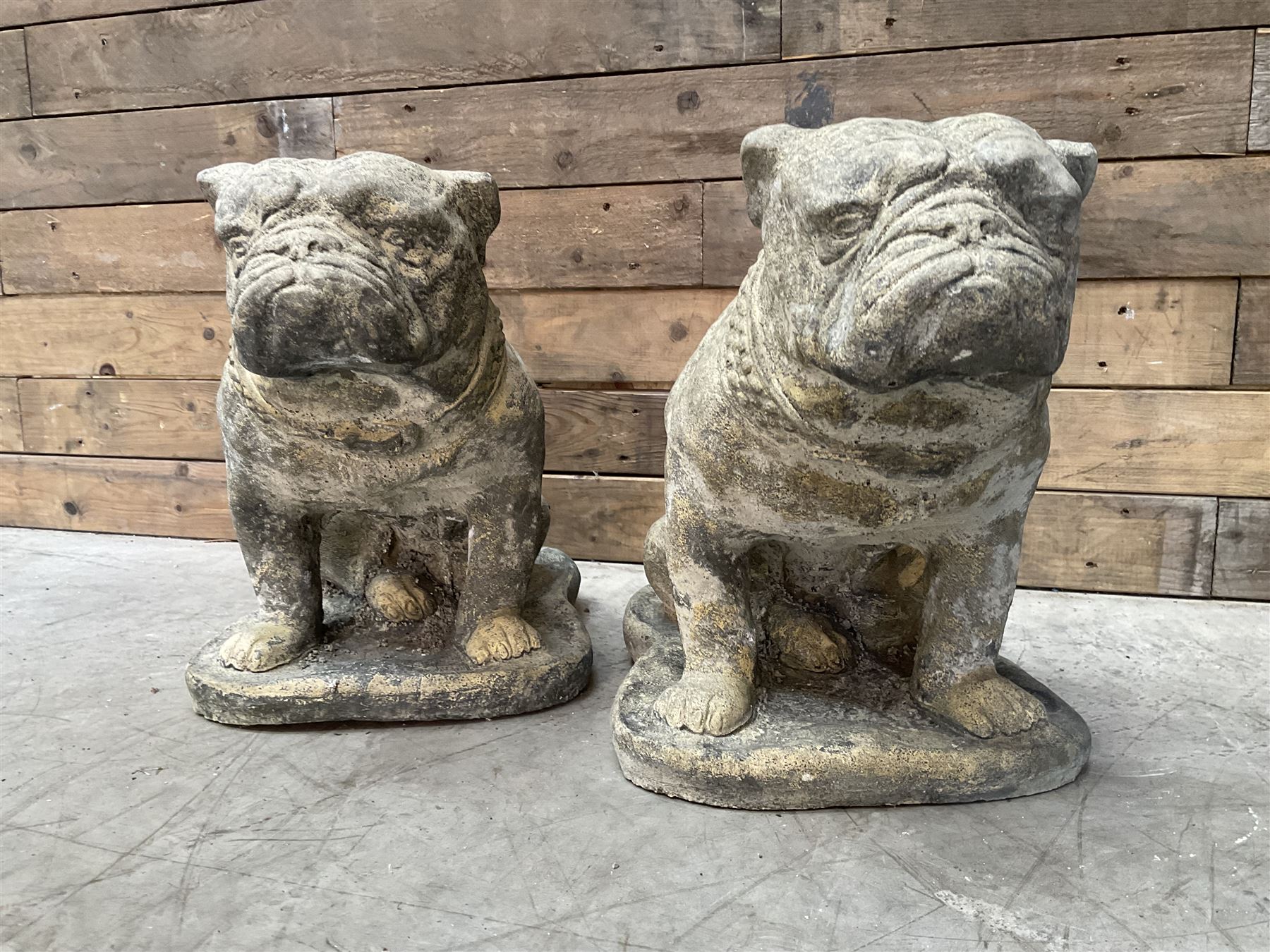 Pair of cast stone garden British bulldogs, on shaped plinths
