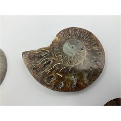 Two pairs of sliced ammonite fossils with polished finish, age: Cretaceous period, location: Madagascar, largest D7cm