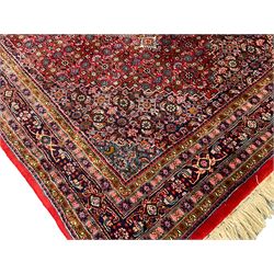 Persian crimson ground rug, central hexagonal medallion surrounded by all-over stylised plant and bird motifs with contrasting spandrels, multi-band border with repeating palmettes 