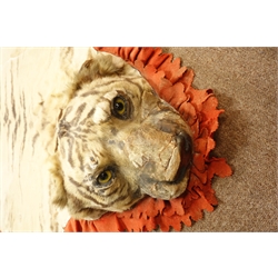  Taxidermy - Early 20th century Tiger skin rug with head mount, glass eyes, limbs outstretched, backed onto canvas backing material with felt trim, W206cm x L330cm   
